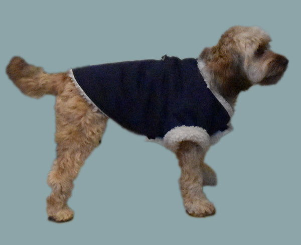 dog coat